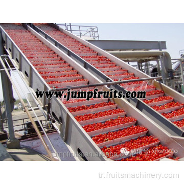 anahtar teslimi domates konsantresi macunu ketçap üretim hattı